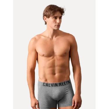 Imagem de Cueca Calvin Klein Trunk Intense Power Seamless Eco Cinza Mescla, M/M