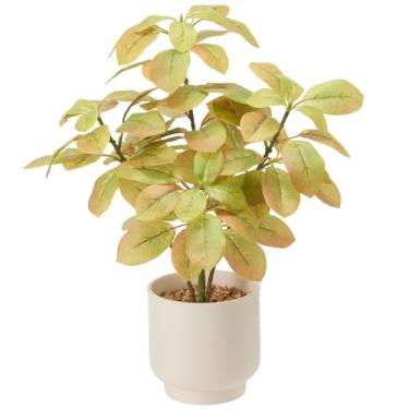 Imagem de Amore Florals Planta de eucalipto artificial de outono de 45,7 cm, vasos de plantas falsas para ambientes internos com vasos de cerâmica, plantas de mesa artificiais para sala de estar, cozinha