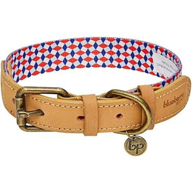 Imagem de Coleiras para cachorro Blueberry Pet 11 Padrões Vintage Poliéster e Couro GenuínoBlueberry Pet Collar - 1" Wide * (18"-22") Neck