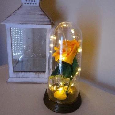 Imagem de Luminária Cúpula A Bela E A Fera Rosa Encantada Aveludada - Amor Lindo