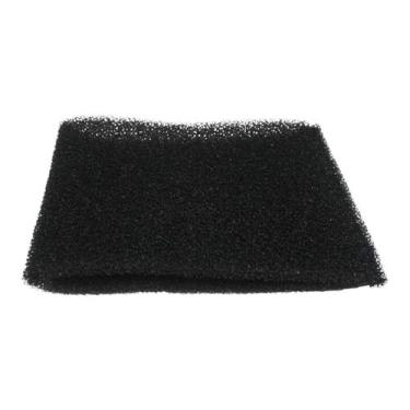 Imagem de Filtro Espuma Proteção Motor P/ Extratora Wap Home Cleaner Original