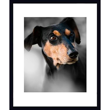 Imagem de Quadro PET Cachorro da Raça Pinscher 53X63cm, Decore Pronto, Multicor