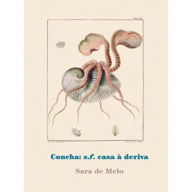 Imagem de Concha S.F. Casa À Deriva