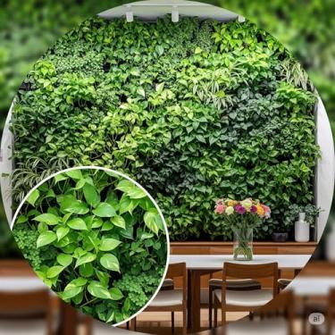 Imagem de Kit de Folhagem Artificial Jiboia, 6 Buquês Decorativos, Ramos Realistas para Painel e Arranjo, Verde (6, Verde Creme)