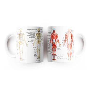 Imagem de Caneca Anatomia Sistema Esquelético E Muscular Medicina
