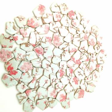 Imagem de 400 g de porcelana azulejos de mosaico cerâmico, azulejos de mosaico irregulares quebrados para piso de artesanato DIY, cozinha, piscina, vasos de flores suprimentos de fabricação de mosaico (porcelana 10)
