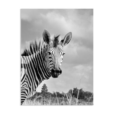 Imagem de SDYJ6GSW Decoração de parede com estampa de zebra, imagem mãe Zebra Hartmann, pintura animal preto e branco, arte de parede, closeup, relaxamento/calmo, sala de estar, quarto, decoração de casa,