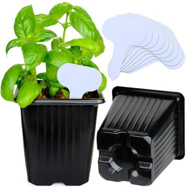 Imagem de CARPATHEN Pacote com 64 vasos quadrados para berçário - vasos de berçário reforçados para plantas com drenagem - vasos de sementes reutilizáveis para suculentas, flores, vegetais - vasos de mudas e