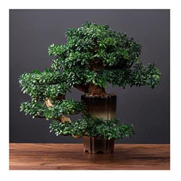Imagem de CZCZC Bonsai artificial, bonsai artificial, pinheiro, simulação, planta verde, bonsai, planta falsa, em vaso, plantas artificiais para mesa, casa, escritório, exibição de árvores artificiais