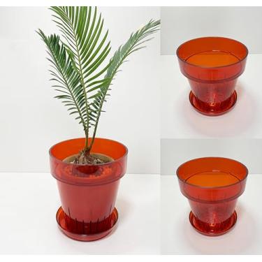 Imagem de RISEON Pacote com 3 potes de orquídea de plástico acrílico transparente com furos e pires, vaso de acrílico grosso, orquídea Dendrobium Oncidium Cattleya para repotting para ambientes internos e