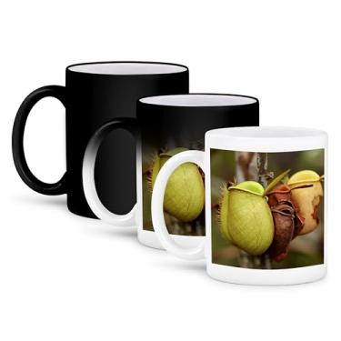 Imagem de 3dRose mug_72097_3"Borneo, Malásia, Sarawak, Pitcher Plant Flora-AS23 JST0032 - Jay Sturdevant" Caneca mágica que se transforma 325 ml, multicolorida