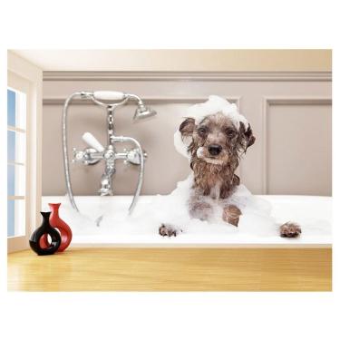 Imagem de Papel De Parede Animal Cão Petshop Banho Tosa 3,5M Anm384