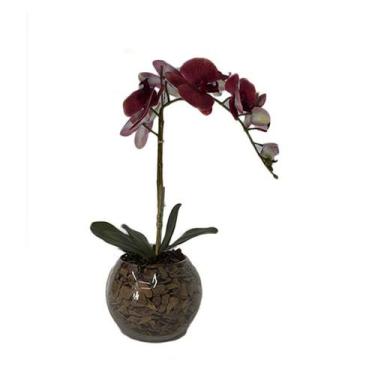 Imagem de Orquídea Vermelha x1 Vaso Aquário - Biofil