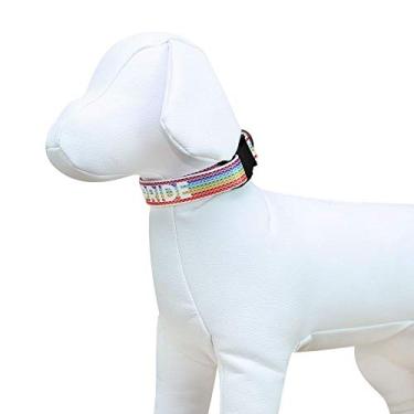 Imagem de Coleira e Guia Para Cachorro Number One Pride