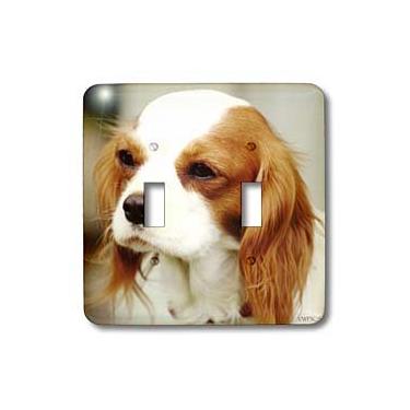 Imagem de 3dRose Lsp_46182_2, Cavalier King Charles Spaniel Interruptor de alternância