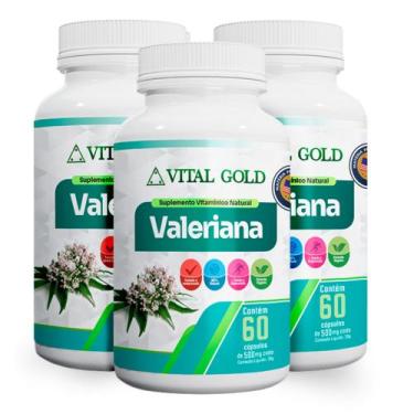 Imagem de VALERIANA - 500mg (60 Cápsulas) VITAL GOLD, 03 Unidade