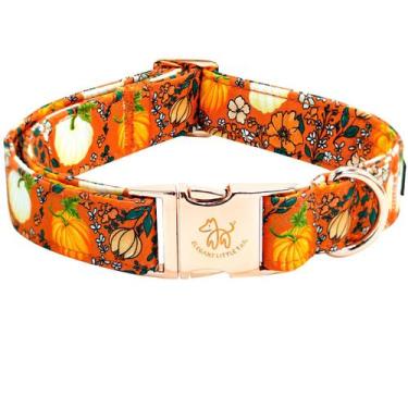 Imagem de Coleira de cachorro: elegante rabo pequeno, algodão com estampa de abó