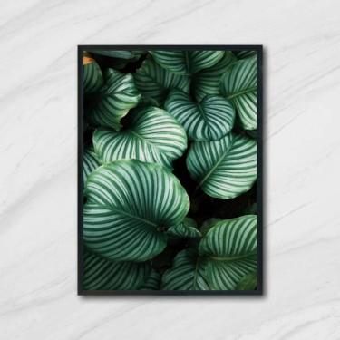 Imagem de Quadro Foto De Folhas 33X24Cm - Com Vidro Moldura Preta