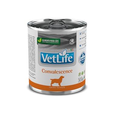 Imagem de VET LIFE WET CAO CONVALESCENCE.300G