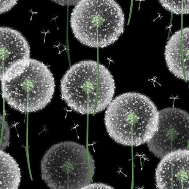 Imagem de MAGAFA Papel de parede de dente de leão branco com fundo preto autoadesivo removível hastes verdes papel de contato berçário quarto mural decorativo de parede 45 x 300 cm