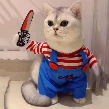 Imagem de Fantasia De Halloween Para Gatos E Cães Pequenos E Médios, Roupa Engra