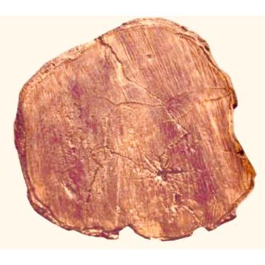 Imagem de 1 Forma/molde Pisante Abs Caminho Jardim Madeira 43x40x5cm - farias