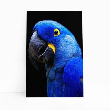 Imagem de Arara ul-Grande Aves Animais Quadro Canvas 60X40Cm - Plimshop