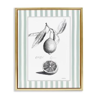 Imagem de Stupell Industries Vintage Citrus Listrado Borda Dourada Moldura Floater Canvas Wall Art Design por Lettered and Fored, 78 x 63 cm