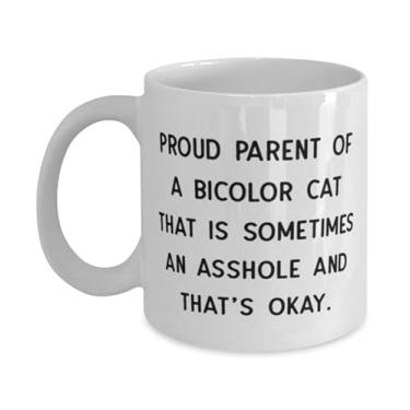 Imagem de Caneca reutilizável bicolor Cat 325 ml, pai orgulhoso de um gato bicolor que é às vezes um inspirador para amantes de gatos, aniversário