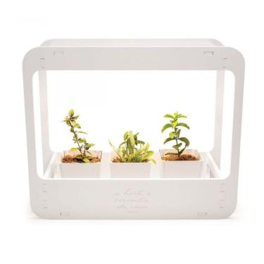 Imagem de Plantario Indoor Com Led Horta Da Casa