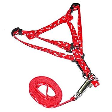 Imagem de bjlongyi Coleira para animais de estimação para cães, gatos, coleira moderna com estampa de ossos patas, corda de tração de segurança, ossos e patas vermelha 0,4