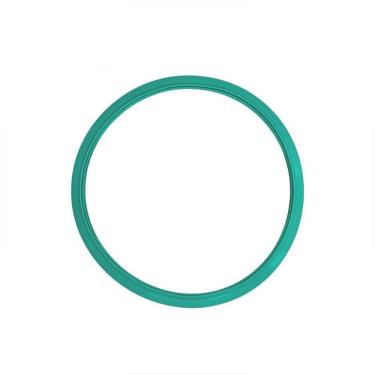 Imagem de Guarnição / Anel De Vedação Autoclave Biotron 12/21 L Verde
