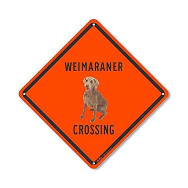 Imagem de PetKa Signs and Graphics Placa de alumínio PKAC-0600-NA_10x10 "Weimaraner Crossing (fundo laranja)", 25,4 cm x 25,4 cm