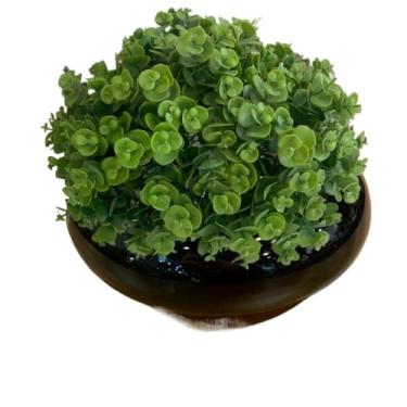 Imagem de Planta Artificial Mini Suculenta Realista Picks para Decoração de Arranjos e Flores - Eucalipto Artificial para Ambientes Internos e Externos(3 un - 15,77 cada)