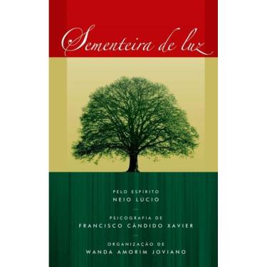 Imagem de Sementeira De Luz