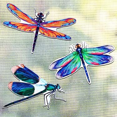 Imagem de 6 peças ímãs de tela libélula magnético flexível protetor de porta tela decorativa ímãs de porta de tela dupla face decoração ímãs de geladeira para portas deslizantes (estilo fresco)