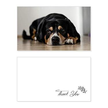 Imagem de Fotografia de animal de estimação para cães, imagem de piso, cartão de agradecimento, papel de aniversário, agradecimento de casamento