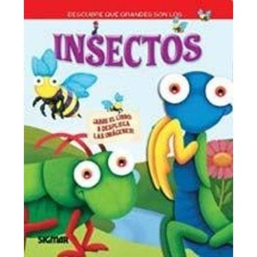 Imagem de Insectos / Insects