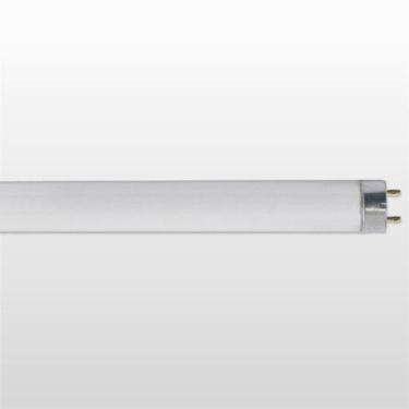 Imagem de Lâmpada Fluorescente Tubular T8 Taschibra 18W 6400k Convencional - TAS