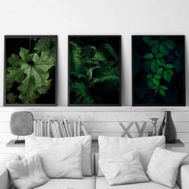 Imagem de Kit 3 Quadros Folhagens 45x34cm - Quadros On-line, Película de acetato