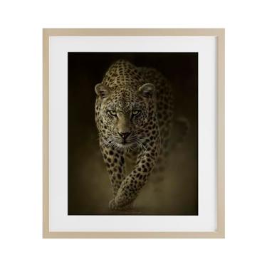 Imagem de Stupell Industries Impressão emoldurada Savage Leopard Predator Birch Under Glass por Collin Bogle, 40,6 x 33,5 cm