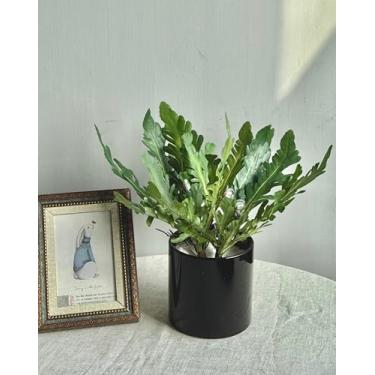 Imagem de QFSH 2 peças de plantas de folhagem tropical artificial verde samambaia falsa para decoração de parede ao ar livre, adereços de fotografia, decoração de casa, 33 cm