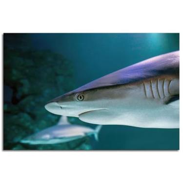 Imagem de Pôster de impressão em tela cinza Reef Shark arte de parede para decoração de escritório doméstico não ramificado 30,5 x 20,3 cm