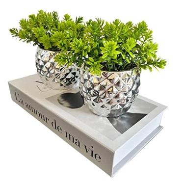 Imagem de Decoração sala livro fake + dupla vaso cachepô prateado