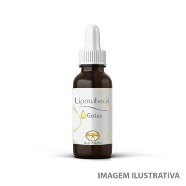 Imagem de Lipowheat 60 ml Anti-rugas Oral - Dhermativos