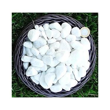 Imagem de Pedra Dolomita Branca Seixo Decorativa para Vasos e Jardins Ornamentais(N2,2kg)