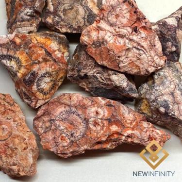 Imagem de Jaspe olho de pássaro Bruto Pedra Natural Bruta 4cm - New Infinity