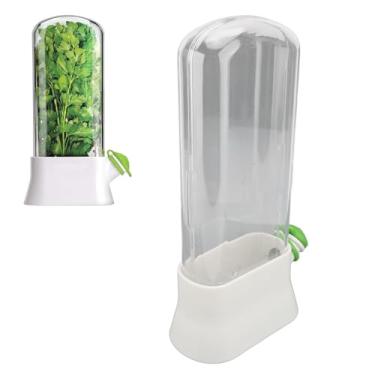 Imagem de Cilantro Plástico Optimums Keeper, Design de Armazenamento Transparente Fácil de Limpar o Recipiente de Frescura de Coentro para Salsa de hortelã de Aspargos