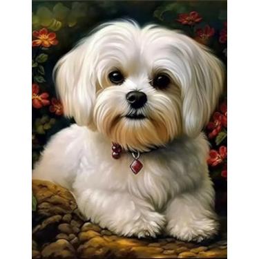 Imagem de Kits de pintura de diamante DIY para cães maltês 5D, arte com contas de diamante, broca redonda, cor acrílica, contas brilhantes, arte de diamante para decoração de casa, 30 x 40 cm (fi335)