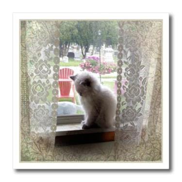 Imagem de 3dRose Gatinho sonolento em uma janela - ferro sobre transferência de calor, 20 x 20 cm, para material branco (ht_195394_1)